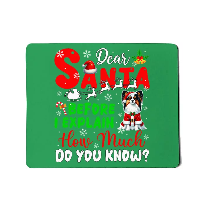 Before I Explain How Much You Know Xmas Papillon Owner Lover Mousepad