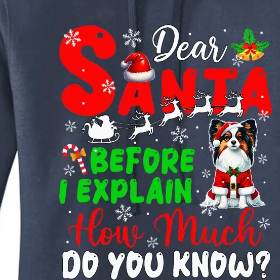 Before I Explain How Much You Know Xmas Papillon Owner Lover Women's Pullover Hoodie