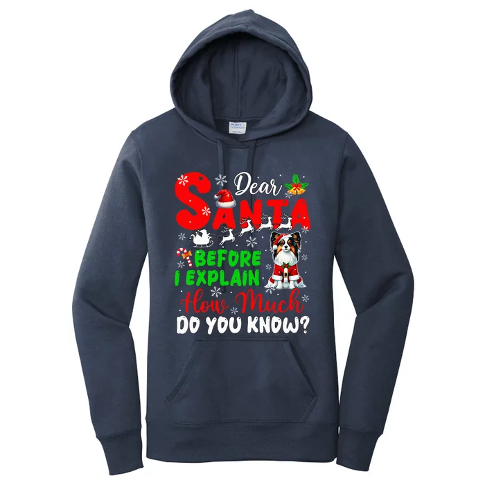 Before I Explain How Much You Know Xmas Papillon Owner Lover Women's Pullover Hoodie