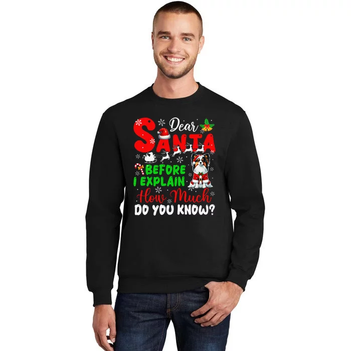 Before I Explain How Much You Know Xmas Papillon Owner Lover Tall Sweatshirt