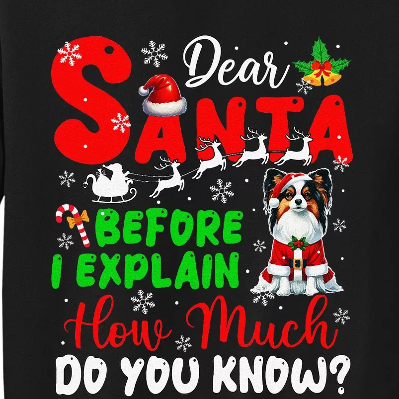 Before I Explain How Much You Know Xmas Papillon Owner Lover Tall Sweatshirt