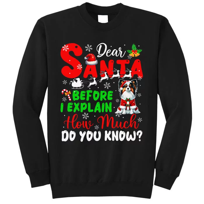 Before I Explain How Much You Know Xmas Papillon Owner Lover Tall Sweatshirt