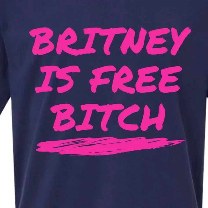 Britney Is Free Bitch Sueded Cloud Jersey T-Shirt