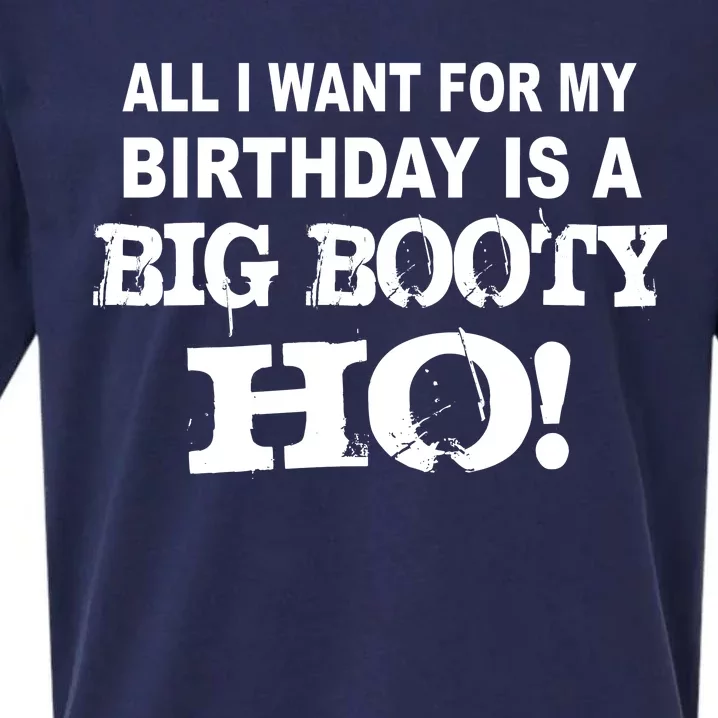 Big Booty Ho For My Birthday Sueded Cloud Jersey T-Shirt