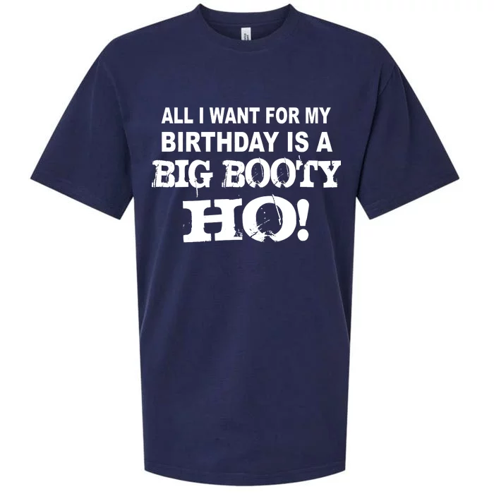 Big Booty Ho For My Birthday Sueded Cloud Jersey T-Shirt