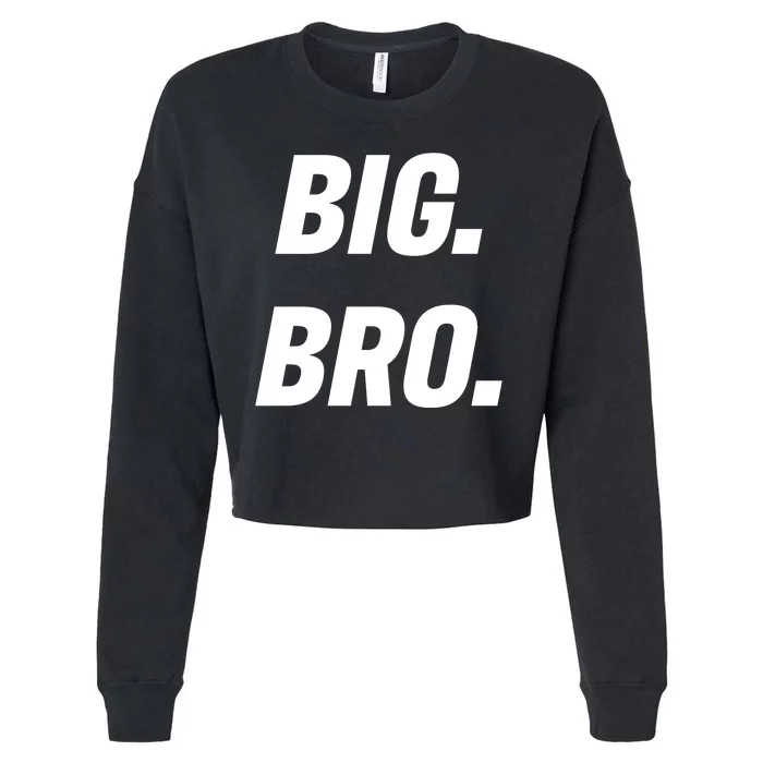 Big Brother Announcement Cropped Pullover Crew