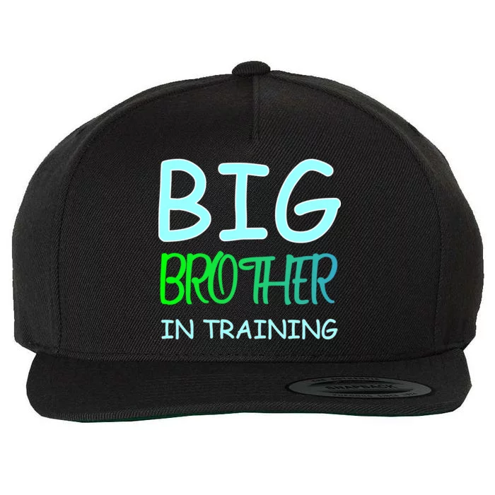 Big Brother In Training Wool Snapback Cap