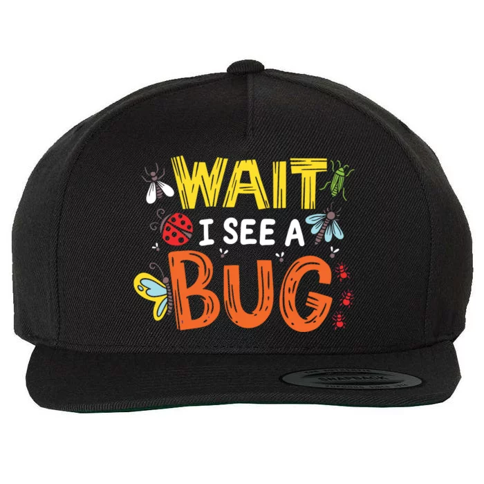 Bug Insect Gift For Entomologists And Bug Lovers Wool Snapback Cap