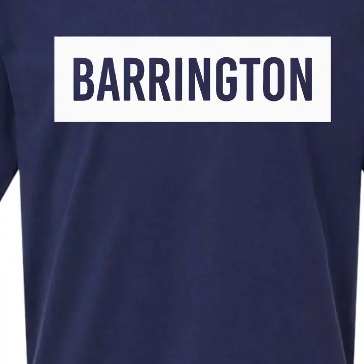 Barrington Il Illinois Funny City Home Roots Usa Gift Sueded Cloud Jersey T-Shirt