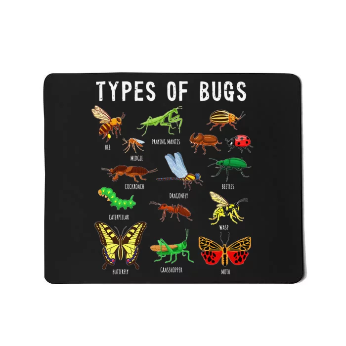 Bug Insect Lover Insect funny Bug Lover Mousepad