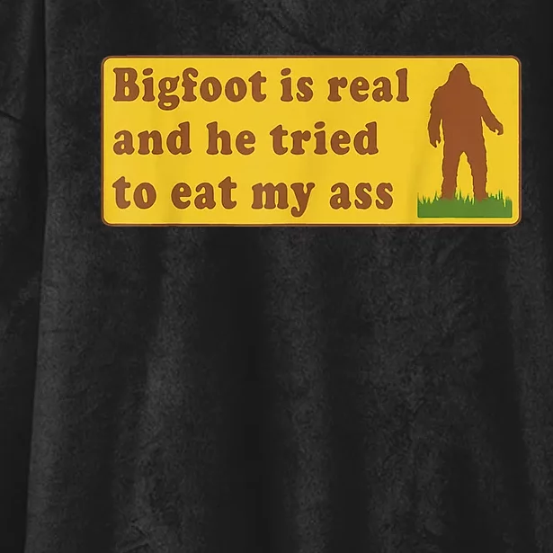 Bigfoot Is Real And He Tried To Eat My Ass Sasquatch Lover Hooded Wearable Blanket