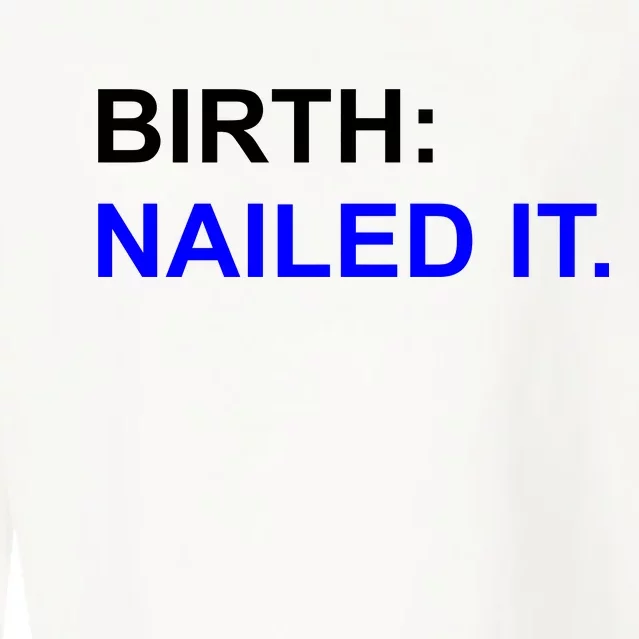 Birth: Nailed It. Funny Cropped Pullover Crew