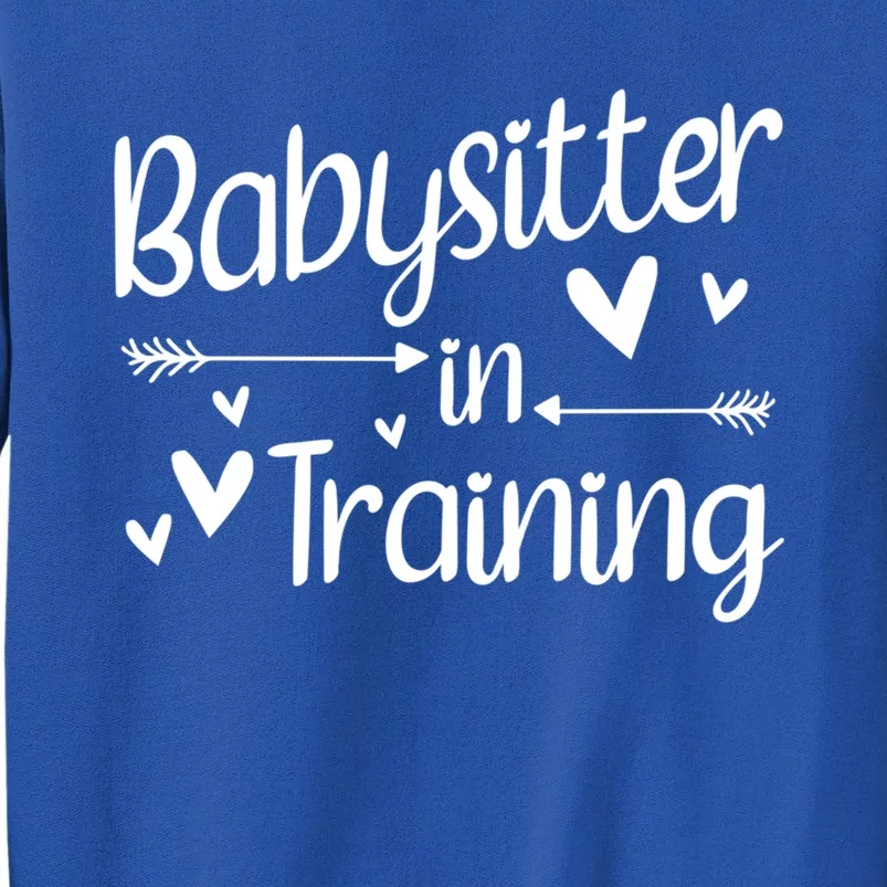 Babysitter In Training Cool Gift Tall Sweatshirt