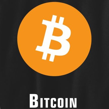 Bitcoin Classic Kids Sweatshirt