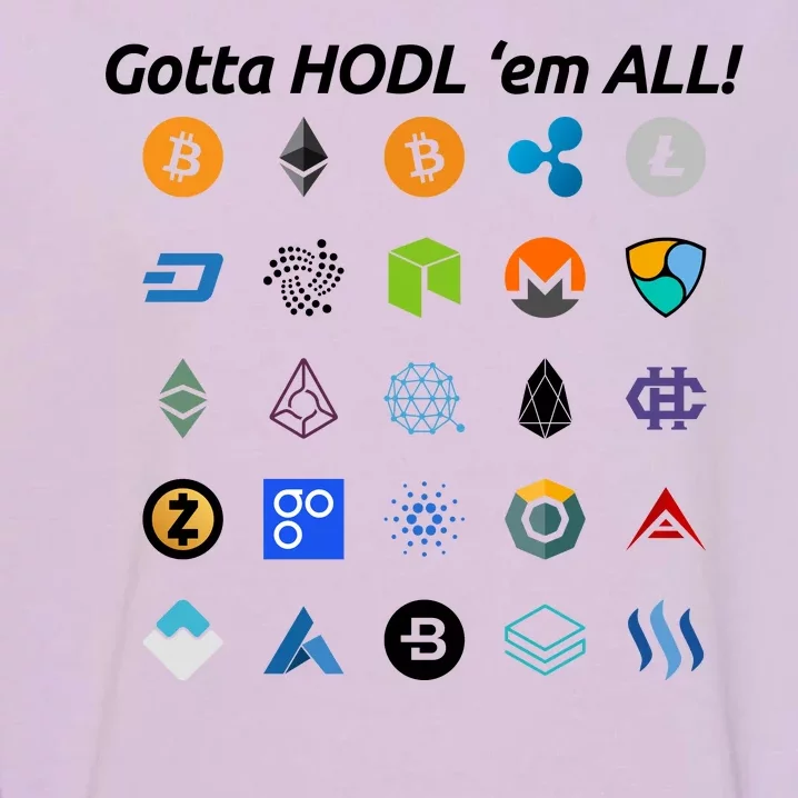 Bitcoin Litecoin Gotta Hodl Em All Cryptocurrency Logos Garment-Dyed Sweatshirt