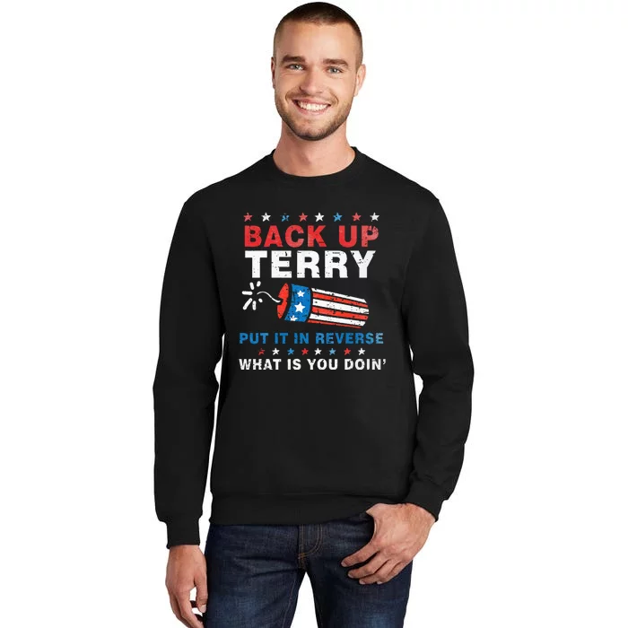 Back It Up Terry Put It In Reverse July 4th Fireworks Terry Sweatshirt