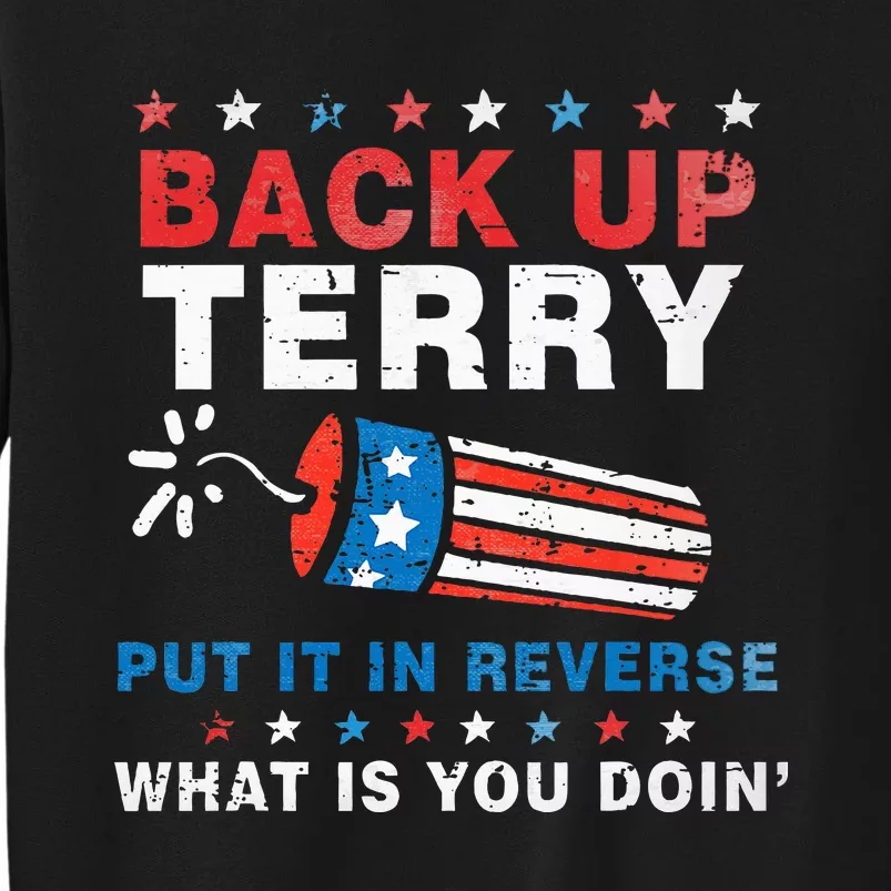 Back It Up Terry Put It In Reverse July 4th Fireworks Terry Sweatshirt