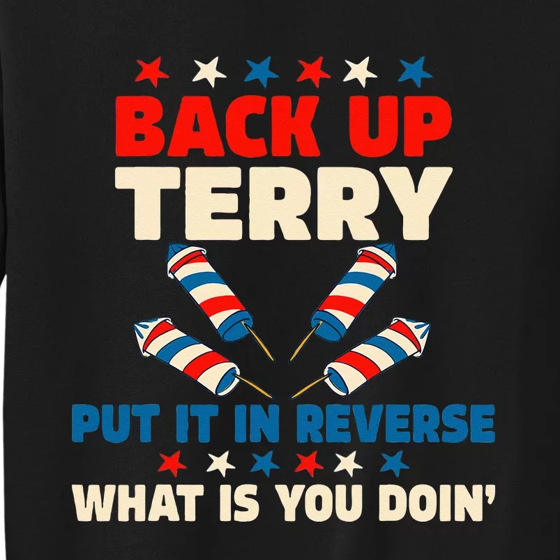 Back It Up Terry Put It In Reverse July 4th Fireworks Terry Sweatshirt