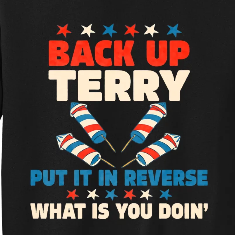 Back It Up Terry Put It In Reverse July 4th Fireworks Terry Sweatshirt