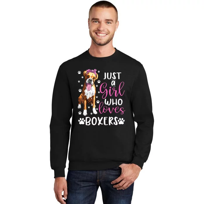 Boxer Just A Girl Who Loves Boxers Dogs Lover Girls Gift Tall Sweatshirt