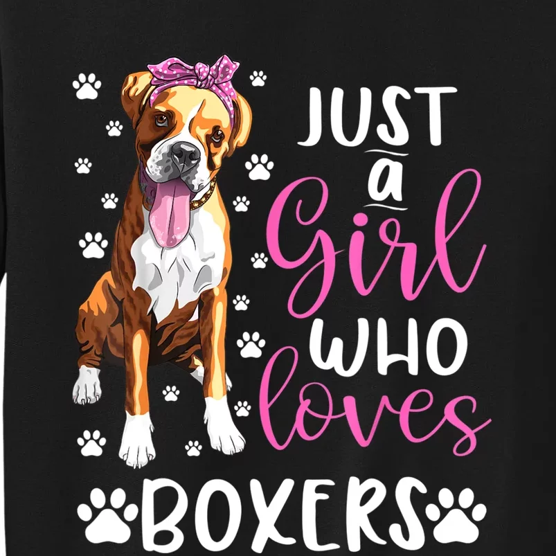 Boxer Just A Girl Who Loves Boxers Dogs Lover Girls Gift Tall Sweatshirt