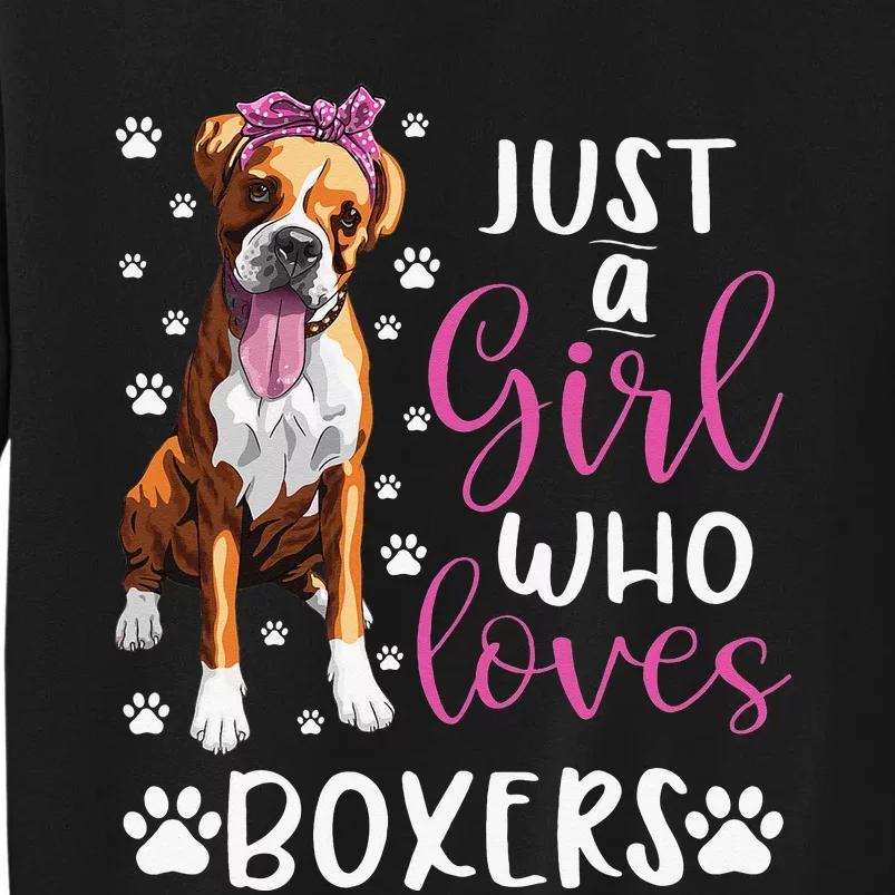 Boxer Just A Who Loves Boxers Dogs Lover Gift Tall Sweatshirt