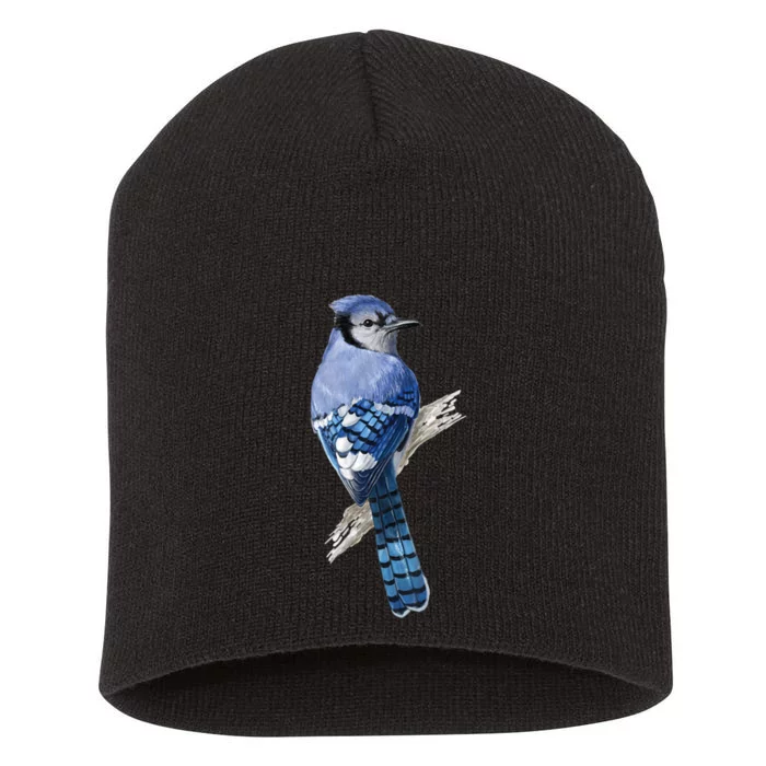 Blue Jay Bird Short Acrylic Beanie