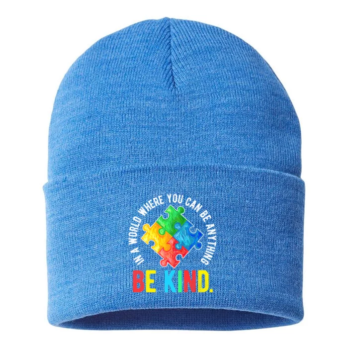 Be Kind Autism Awareness Cute Gift Sustainable Knit Beanie