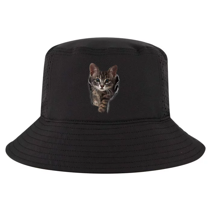 Brown Kitten Staring Cute TShirt Cats Gift Cool Comfort Performance Bucket Hat