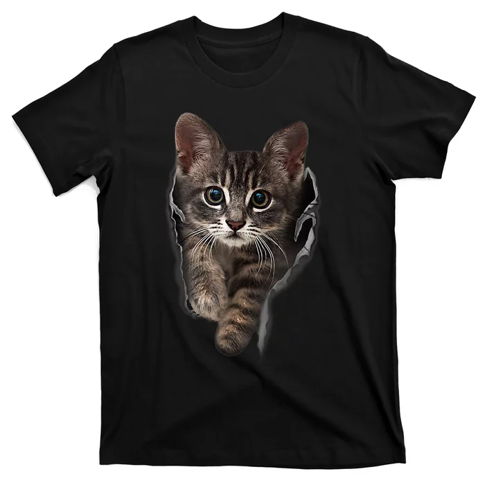 Brown Kitten Staring Cute TShirt Cats Gift T-Shirt