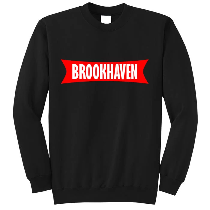 BROOKHAVEN RP VAI ACABAR? É O FIM DO BROOKHAVEN RP? VERDADE OU NÃO