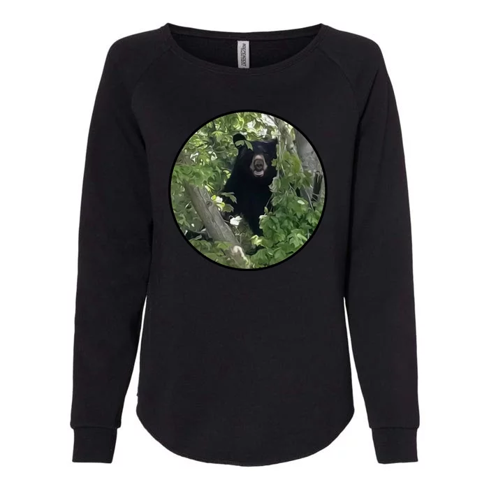 Black Bear Wilderness Womens California Wash Sweatshirt