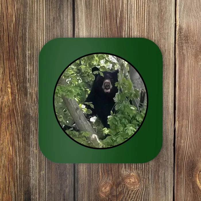 Black Bear Wilderness Coaster