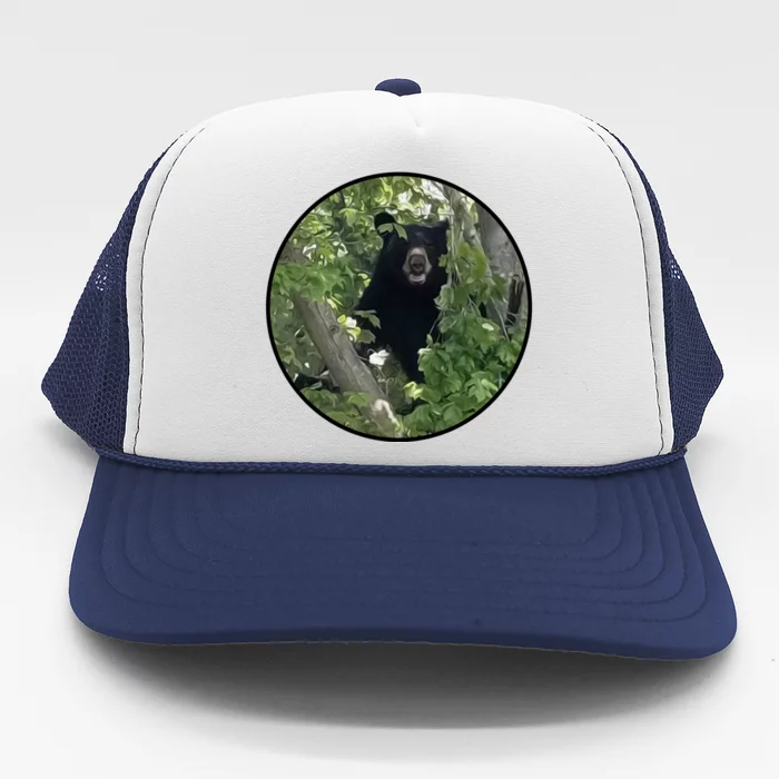 Black Bear Wilderness Trucker Hat