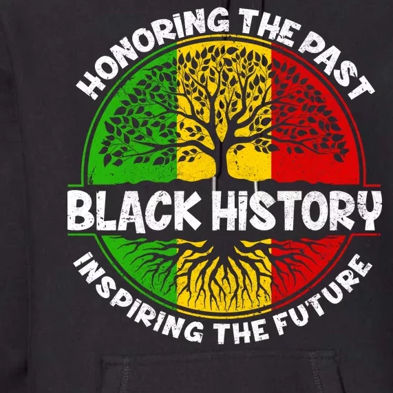 Black History Honoring The Past Premium Hoodie