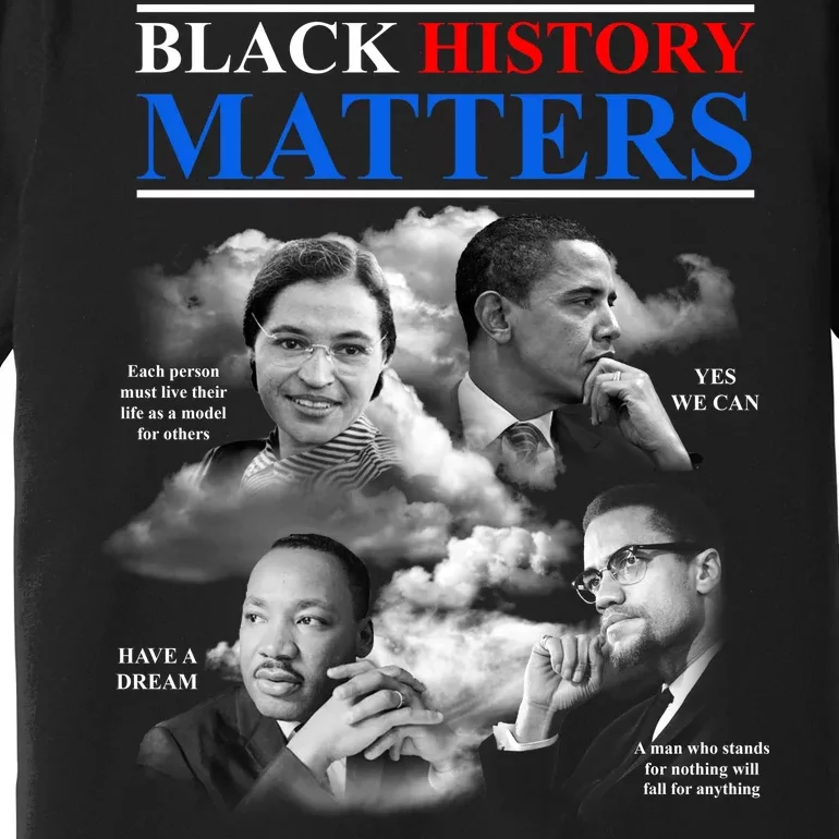 Black History Matters Premium T-Shirt