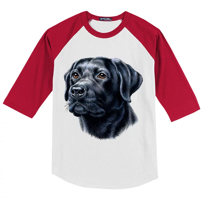 Black Lab Kids Colorblock Raglan Jersey