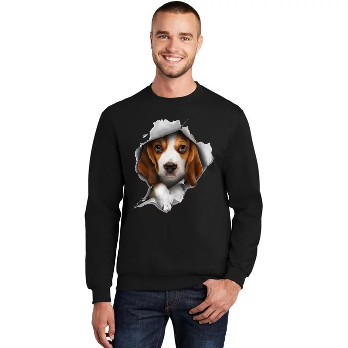 Beagle Lover Beagle Puppy Beagle Owner Beagle Tall Sweatshirt