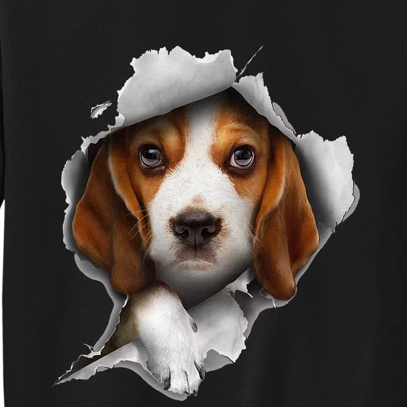 Beagle Lover Beagle Puppy Beagle Owner Beagle Tall Sweatshirt