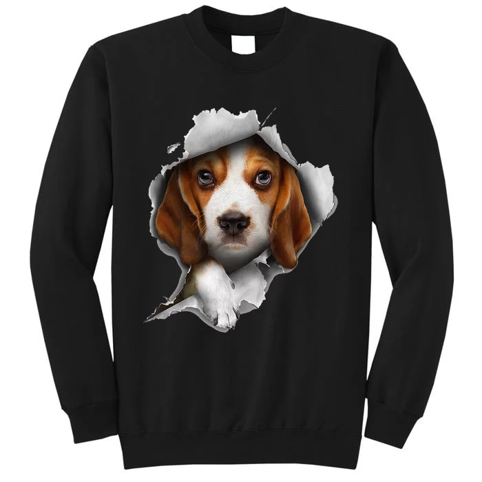 Beagle Lover Beagle Puppy Beagle Owner Beagle Tall Sweatshirt