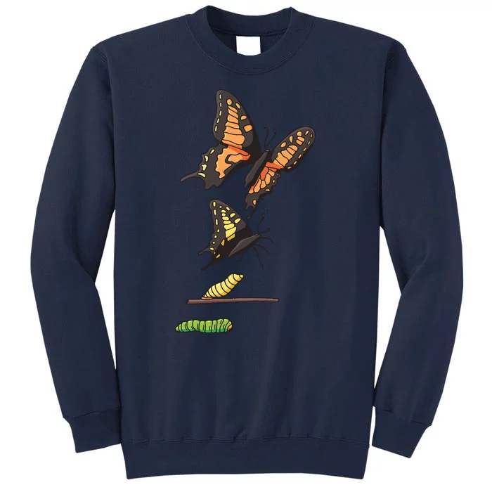 Butterfly Lifecycle Tall Sweatshirt