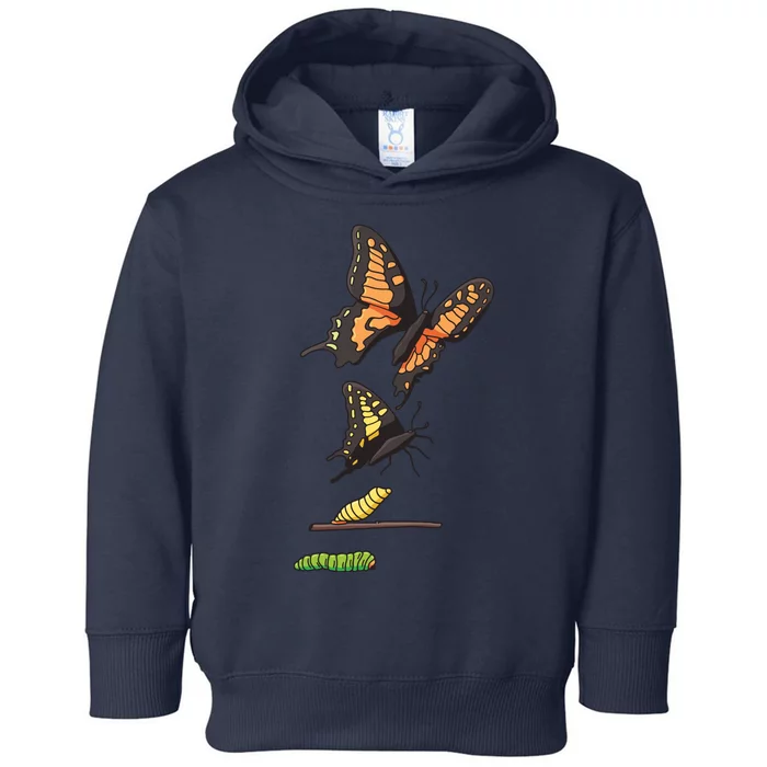 Butterfly Lifecycle Toddler Hoodie