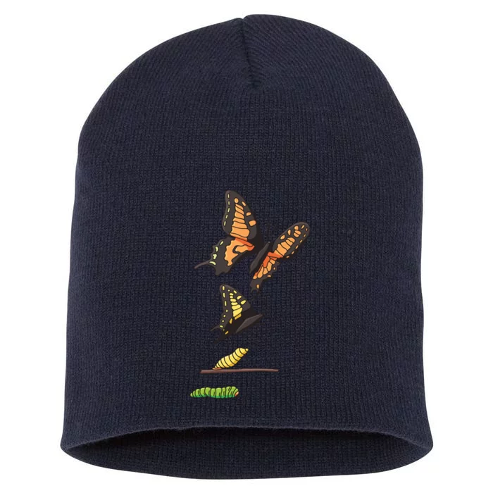 Butterfly Lifecycle Short Acrylic Beanie