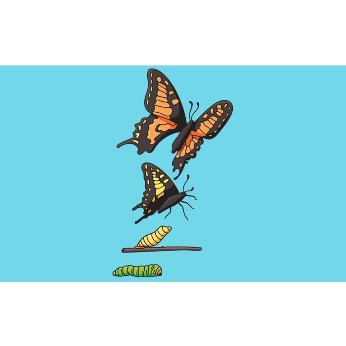 Butterfly Lifecycle Bumper Sticker