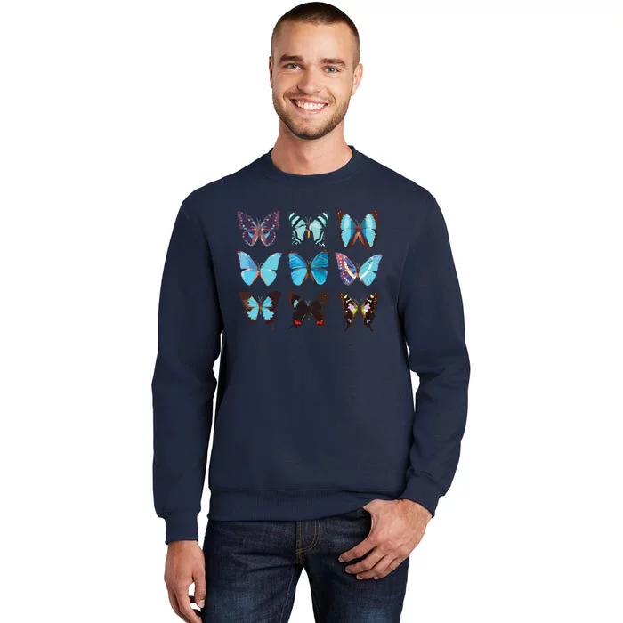 Butterfly Lover Colorful Butterflies Entomologist Science Tall Sweatshirt