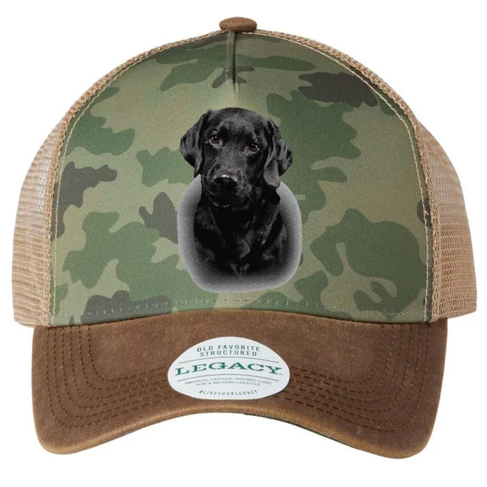 Black Labrador Dad Mom Retriever Lab Owner Dog Lover Cute Legacy Tie Dye Trucker Hat