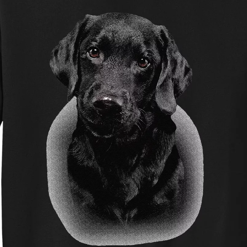 Black Labrador Dad Mom Retriever Lab Owner Dog Lover Cute Sweatshirt