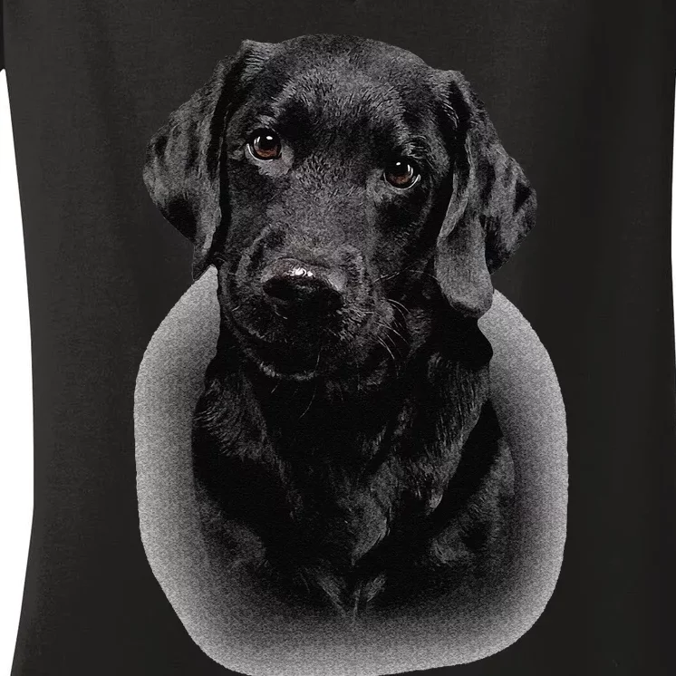 Black Labrador Dad Mom Retriever Lab Owner Dog Lover Cute Women's V-Neck T-Shirt