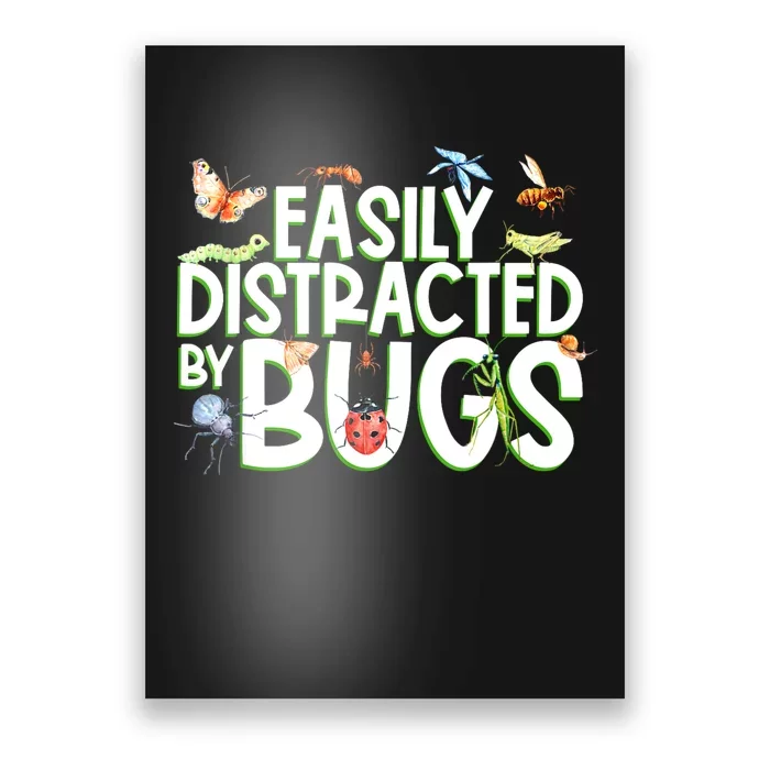 Bug Lover Insect Lover Types Of Bugs Bug Collector Bug Poster