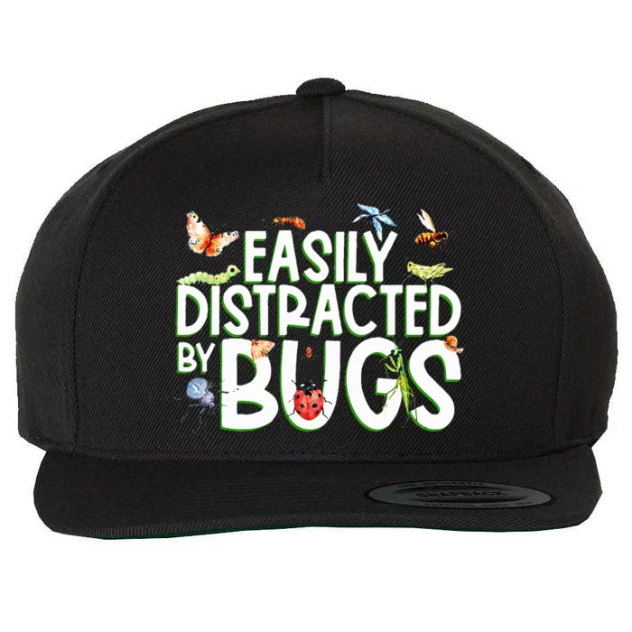 Bug Lover Insect Lover Types Of Bugs Bug Collector Bug Wool Snapback Cap